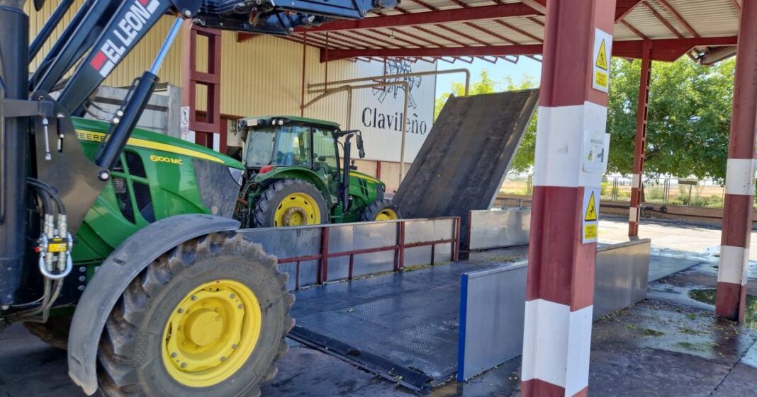 La cooperativa Los Pozos de Daimiel cierra una vendimia adelantada una semana y con mayor producción
